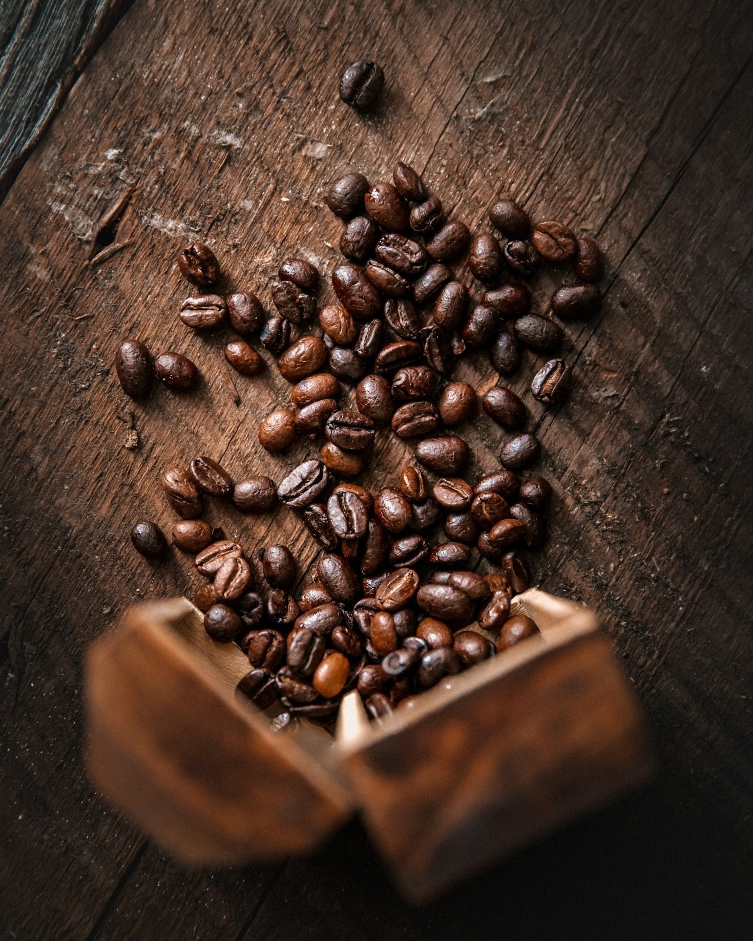 Spotlight on Independent Roasters Shaping Modern Culture