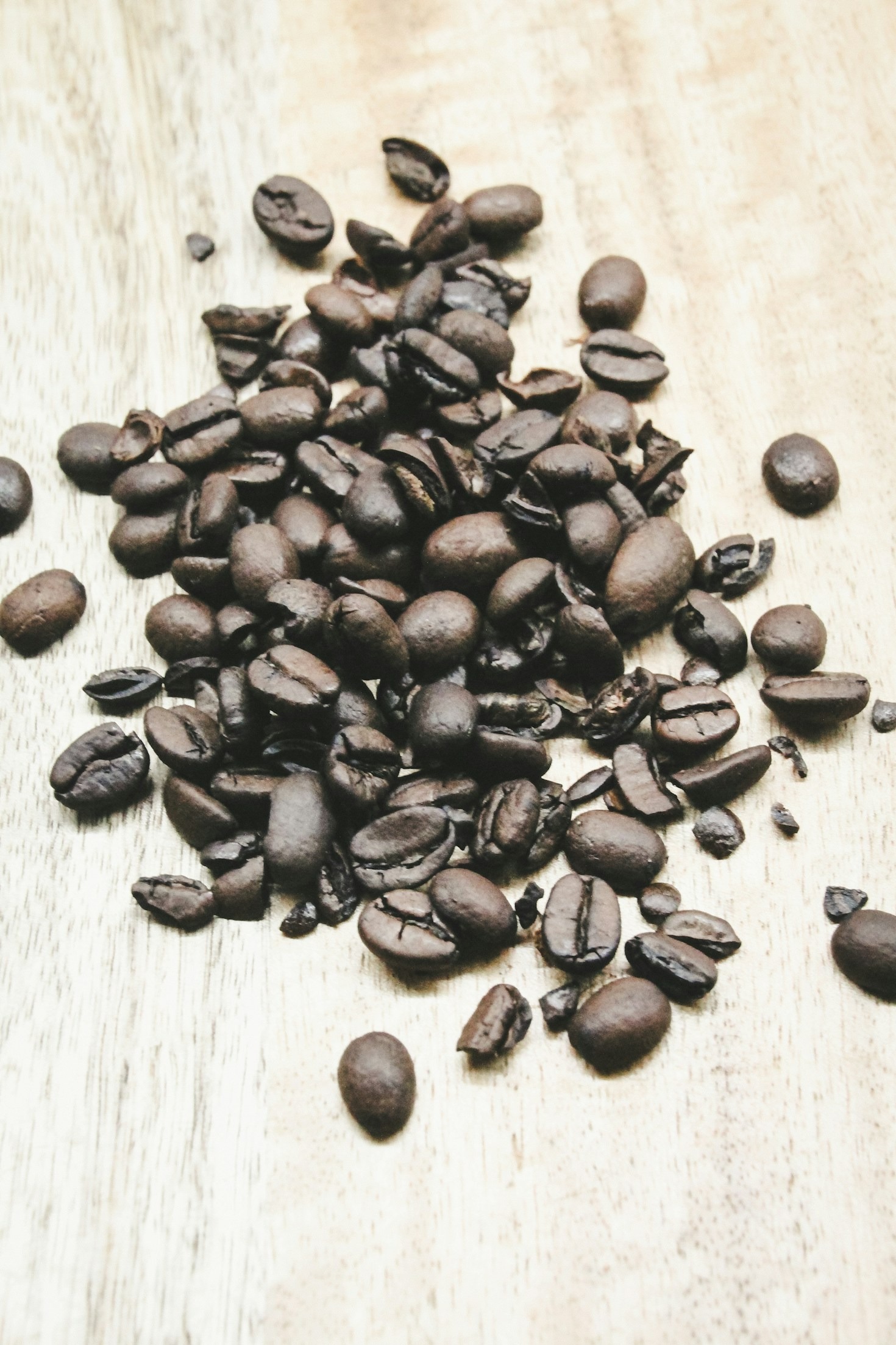 The Beginner’s Field Guide to Coffee Tasting Notes